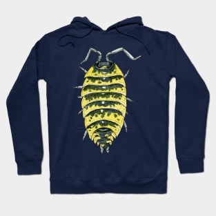 Porcellio ornatus Isopod, high yellow Hoodie